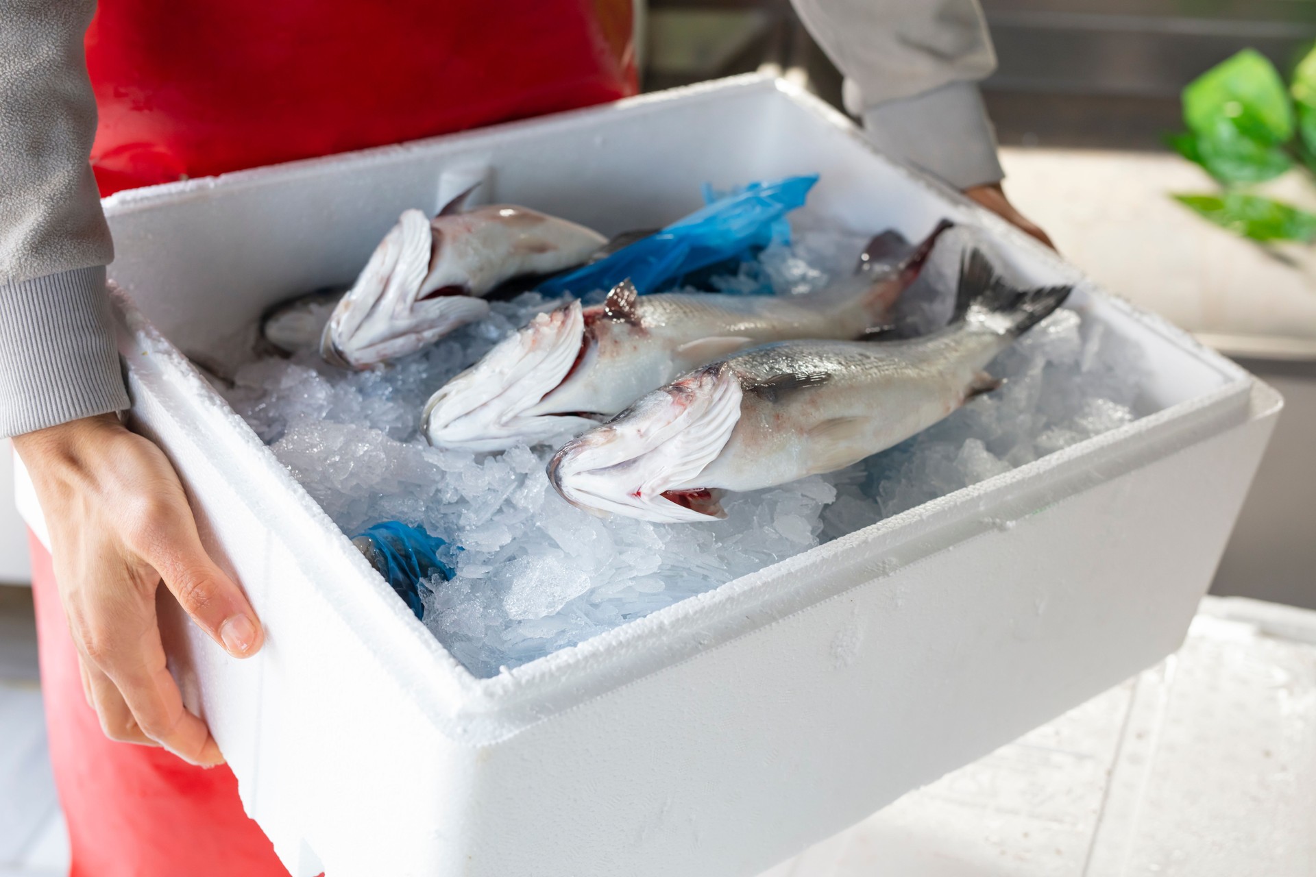 Pallet with fresh fish at a wholesale market
