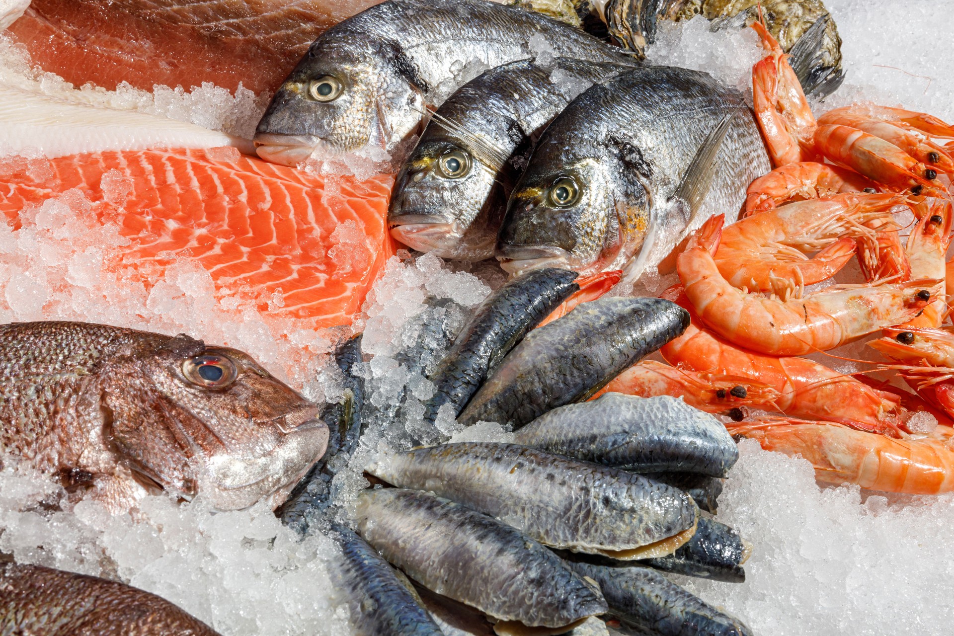 A captivating and tantalizing fresh seafood selection elegantly presented on ice awaits you